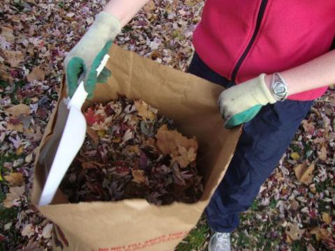 Person placing leaves in a yard waste bag