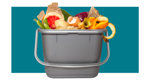 Bucket with food scraps