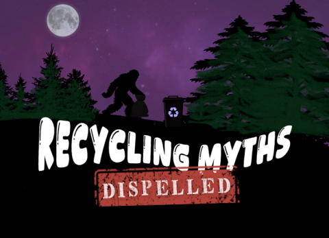 Bigfoot spotted among forested area taking recycling out, title reads "Recycling Myths: Dispelled"